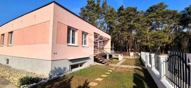foto 3.jpg