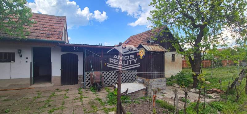 Obrázok WhatsApp 2025-04-24 o 14.03.35_b4963746.jpg